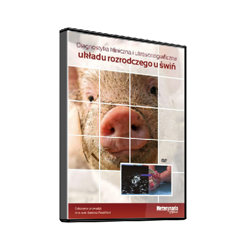 Diagnostyka kliniczna i ultrasonograficzna układu rozrodczego u świń